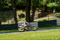 cadwell-no-limits-trackday;cadwell-park;cadwell-park-photographs;cadwell-trackday-photographs;enduro-digital-images;event-digital-images;eventdigitalimages;no-limits-trackdays;peter-wileman-photography;racing-digital-images;trackday-digital-images;trackday-photos